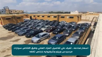 أسعار صادمة.. تعرف على تفاصيل المزاد العلني وطرق اقتناص سيارات مرسيدس ورينو وشيفرولية بأرخص تكلفة